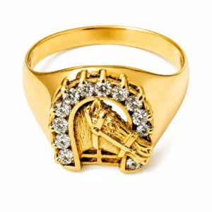 ANILLO TIPO HERRADURA