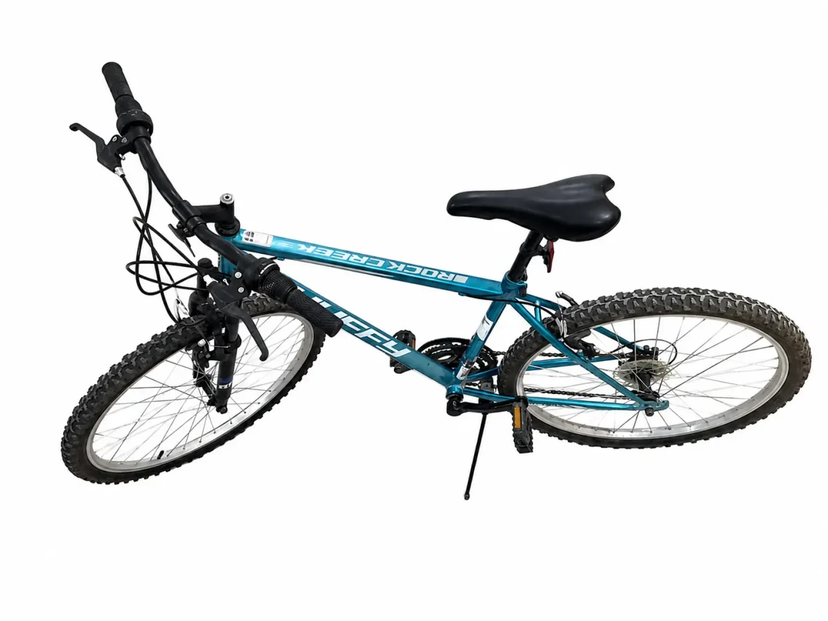 F-51526 BICICLETA AZUL